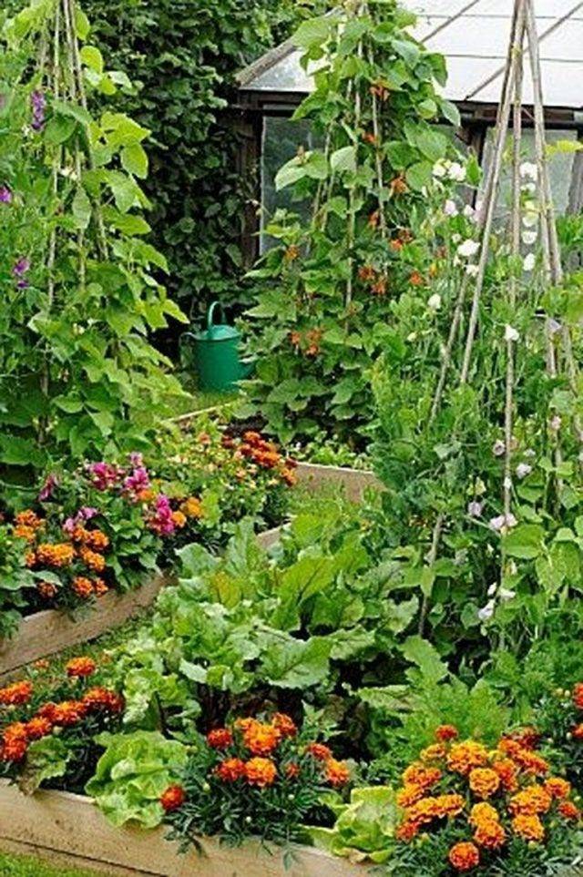 Creative Diy Vertical Garden Ideas