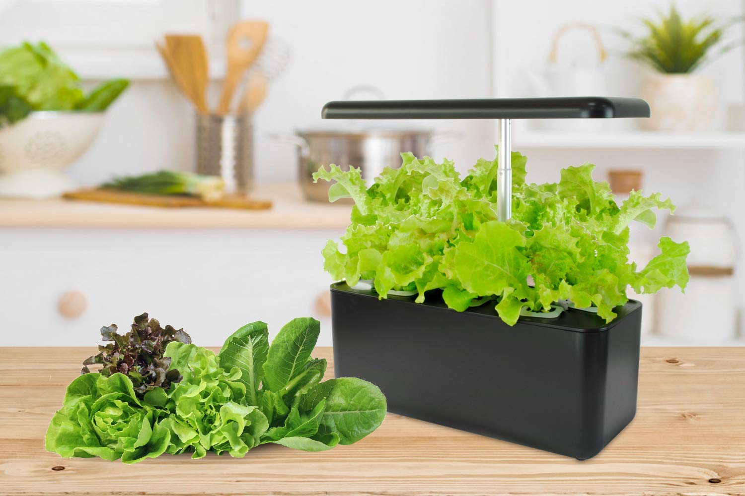 Inspiring Hydroponic Gardening Ideas