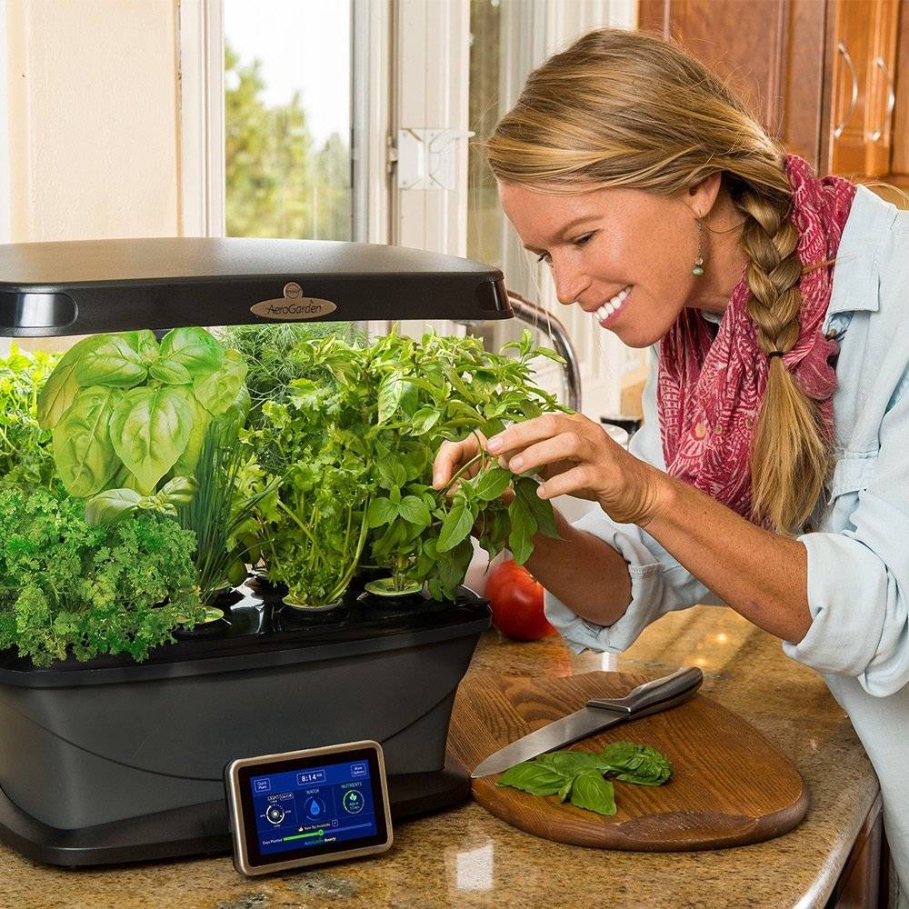 A Hydroponic Herb Garden