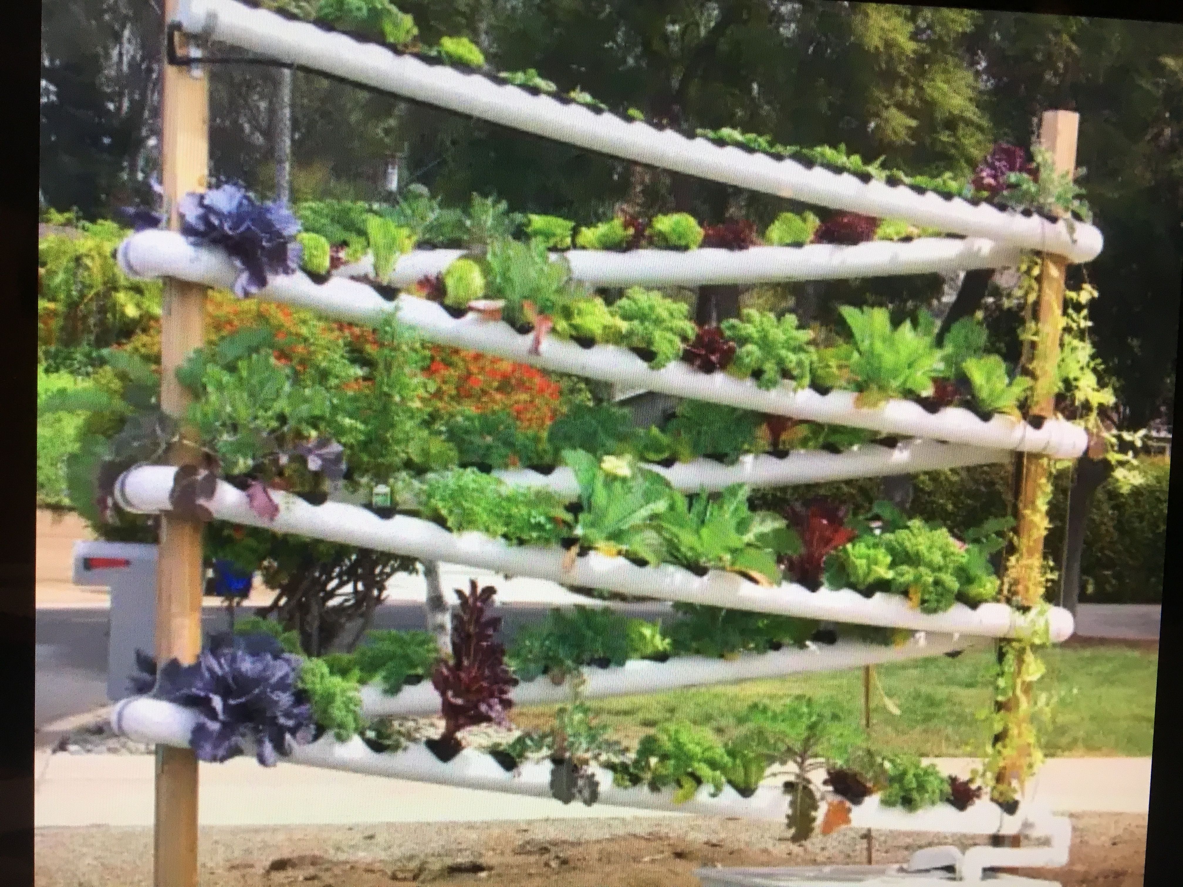 Aquaponic Vertical Vegetable Garden