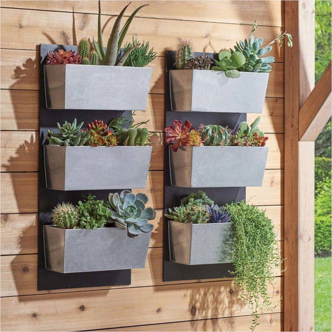 Wall Planter Ideas