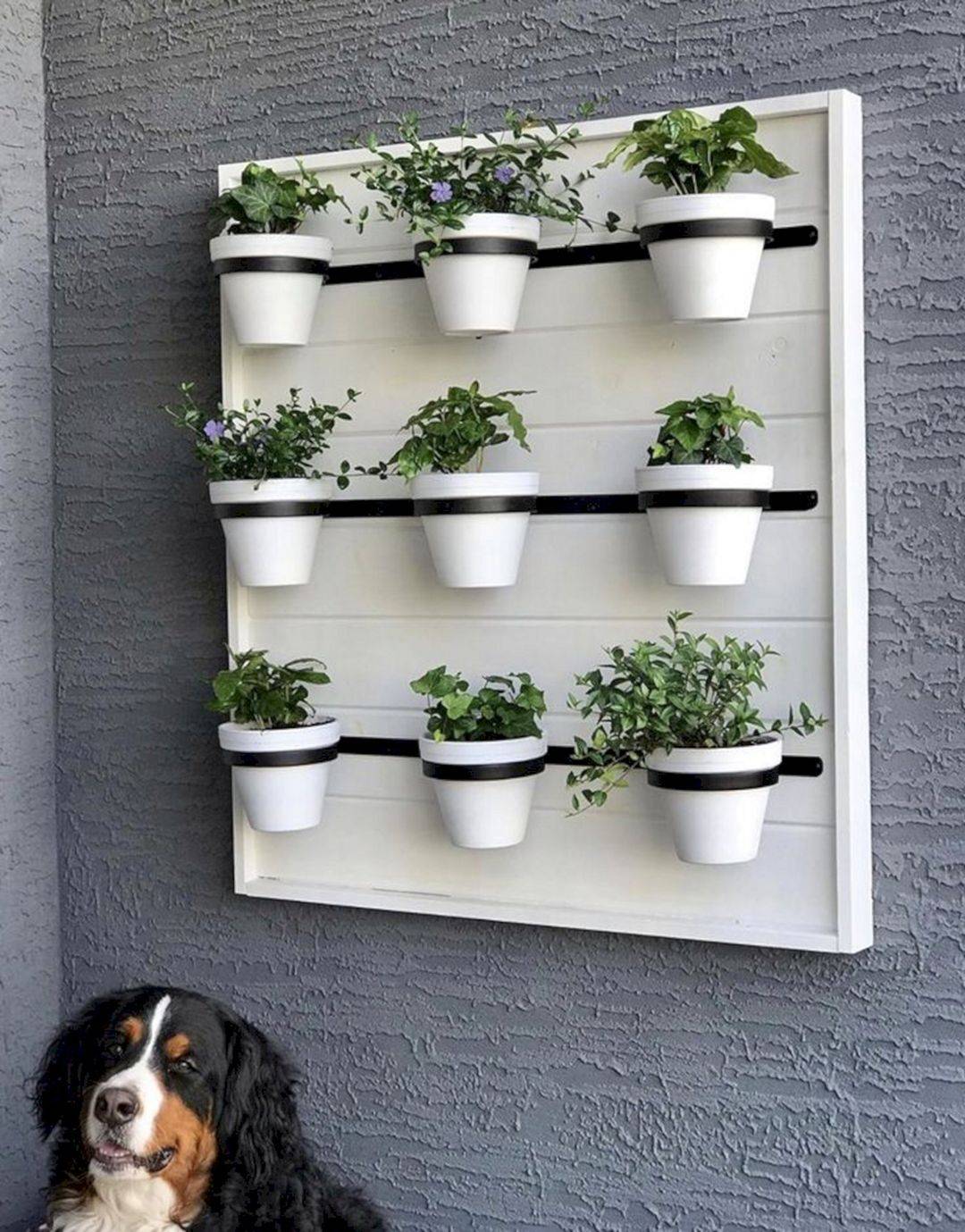 Diy Vertical Wall Planter