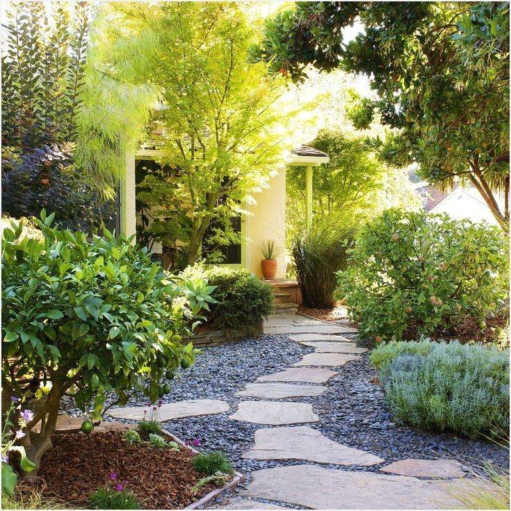 Small Backyard Landscaping