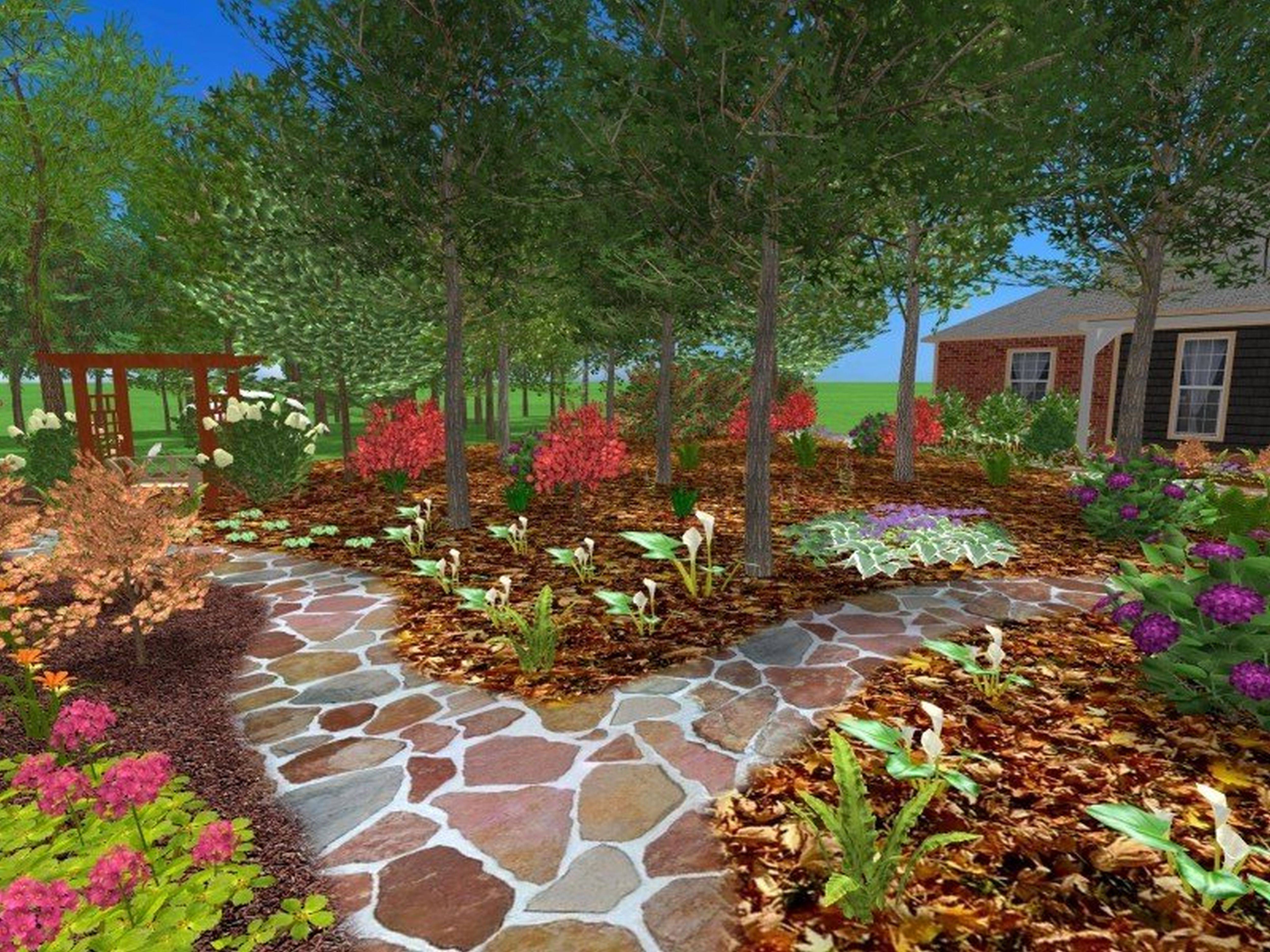 Stepping Stone Pathway