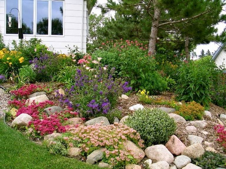 Amazing Rock Garden Design Ideas Yard Surfer