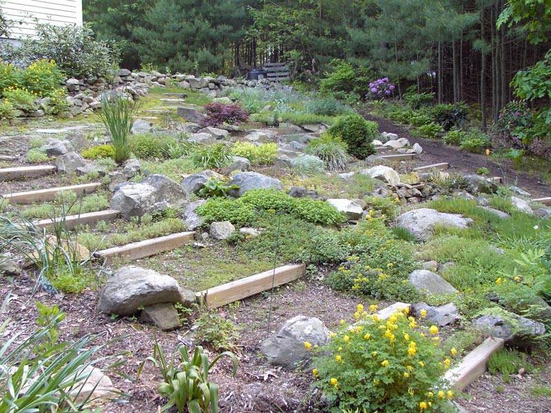 Custom Garden Design The Local Shed Small Front Yard Landscaping