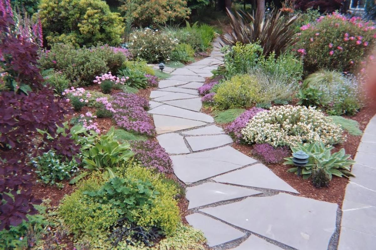 Best Front Yard Landscape Ideas Images