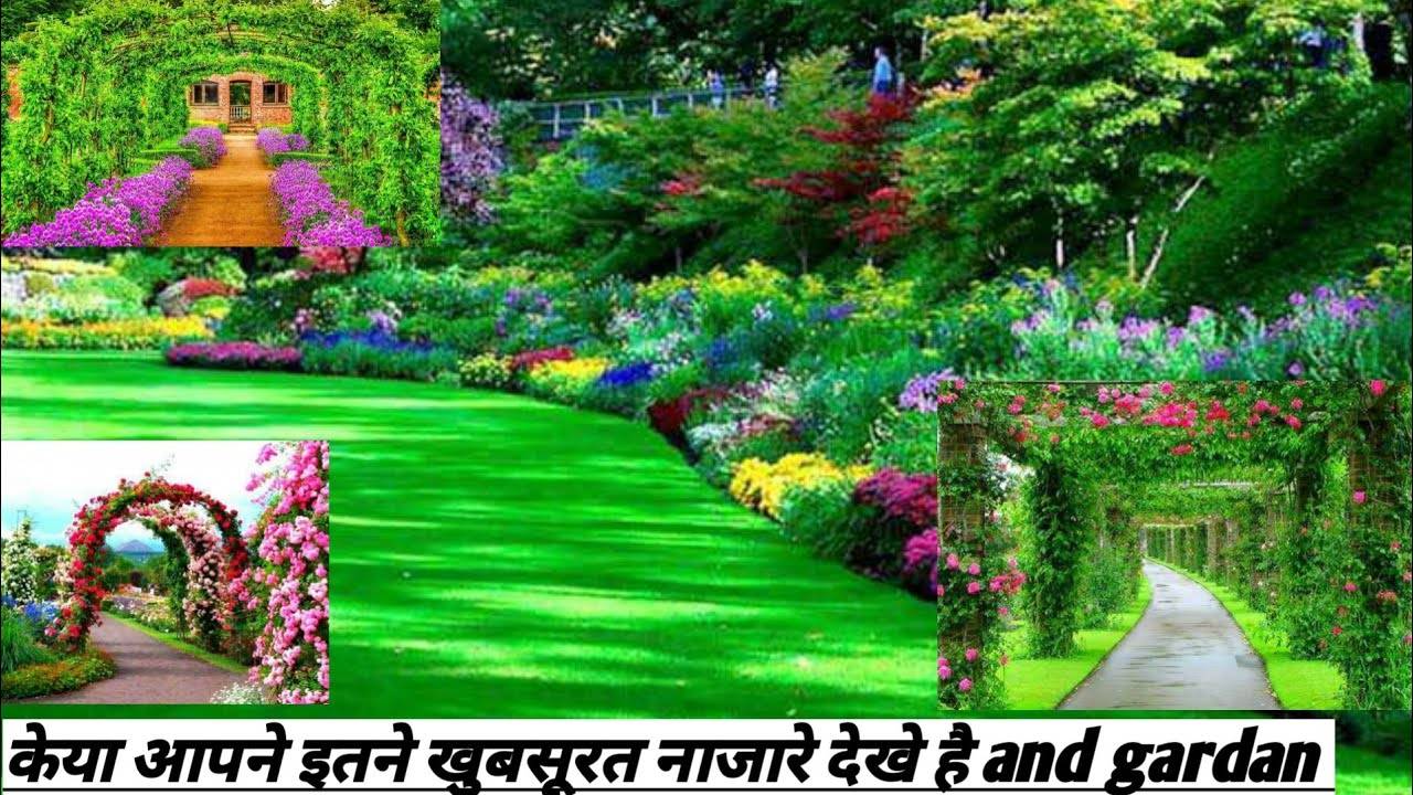 The Most Beautiful Home Gardens