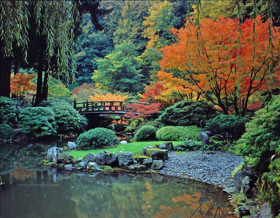 The Portland Japanese Garden