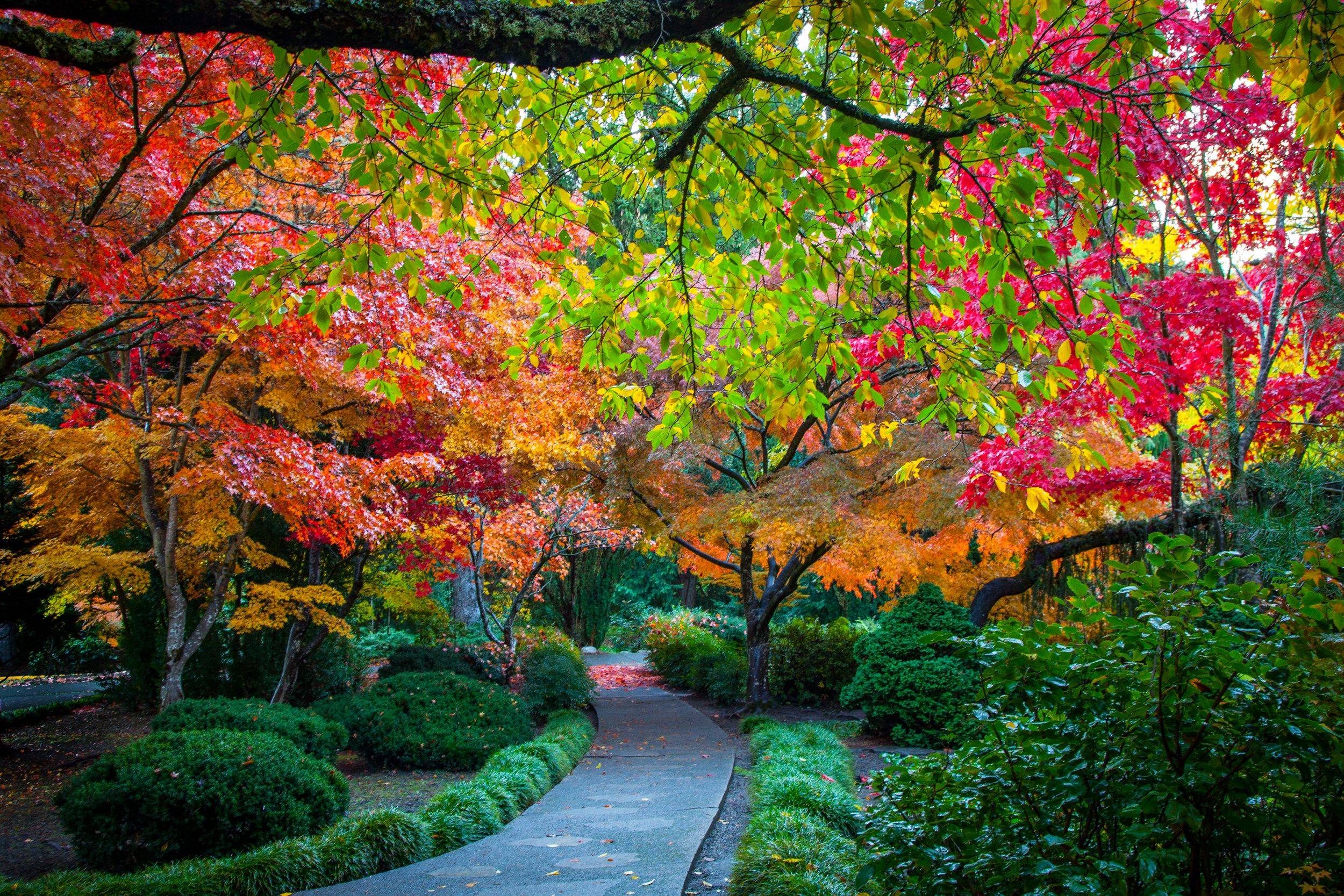 Japanese Garden Designers Portland Oregon Garden