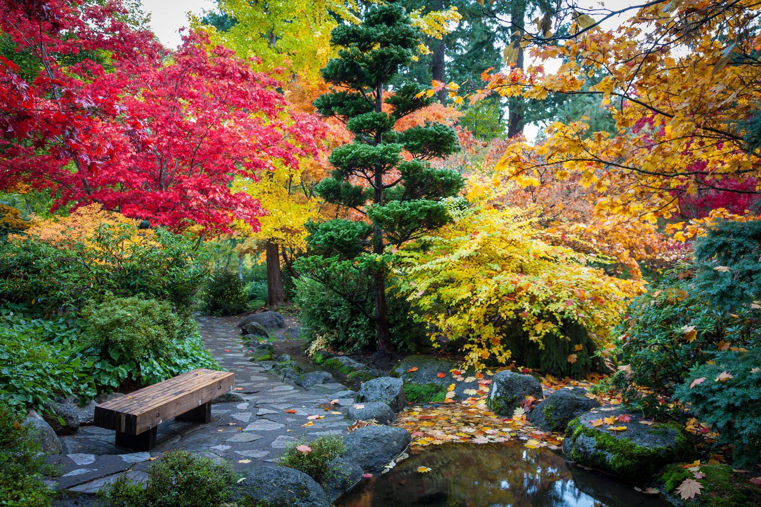 Garden Japanese Garden