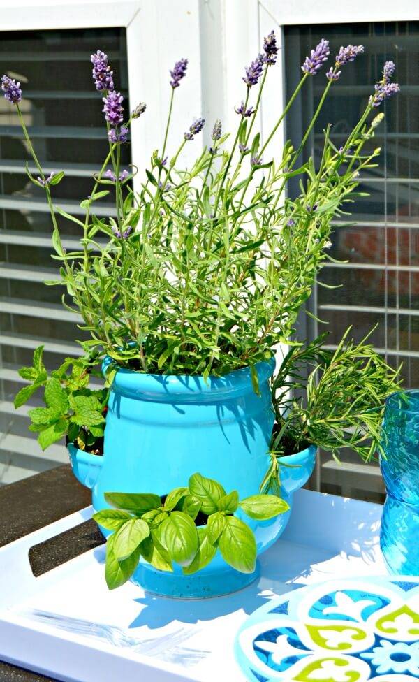 Cool Diy Indoor Herb Garden Ideas Hative