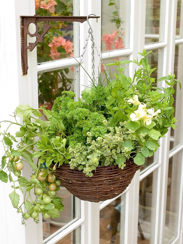 Planting A Container Herb Garden