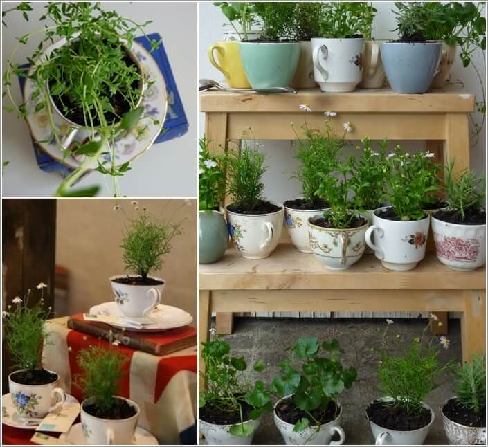 Planting A Container Herb Garden