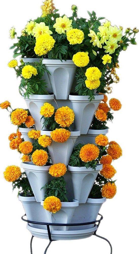 Indoor Garden Kits