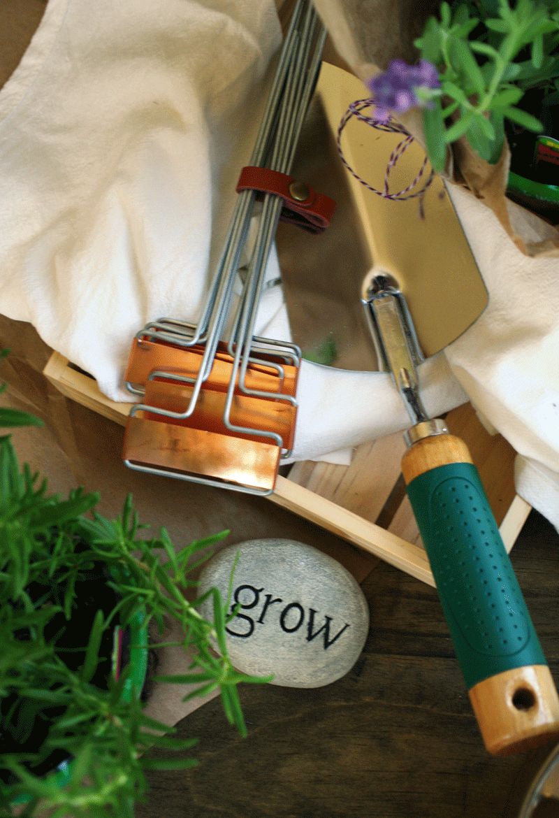 Complete Herb Garden Kit Interior Design Ideas