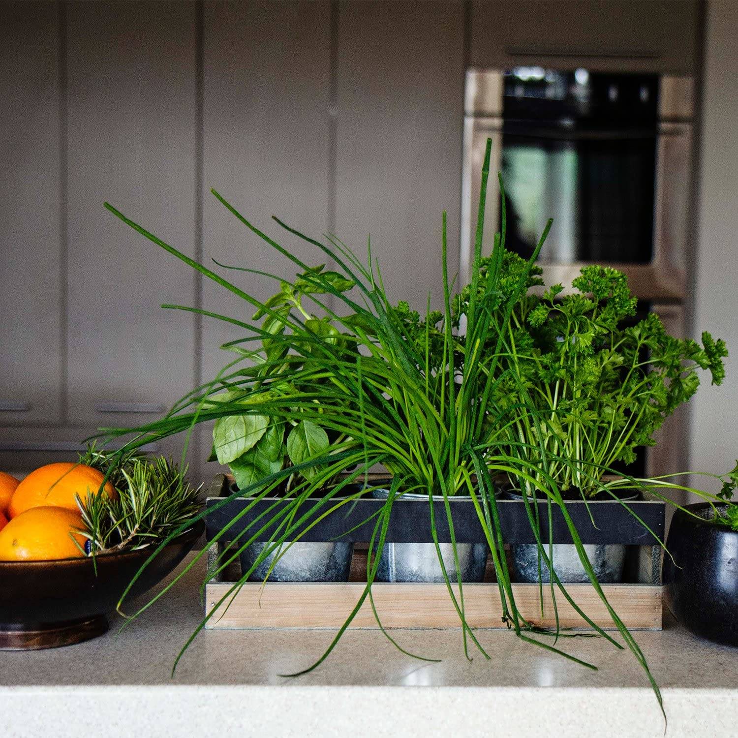 A Giftable Indoor Herb Garden Kit