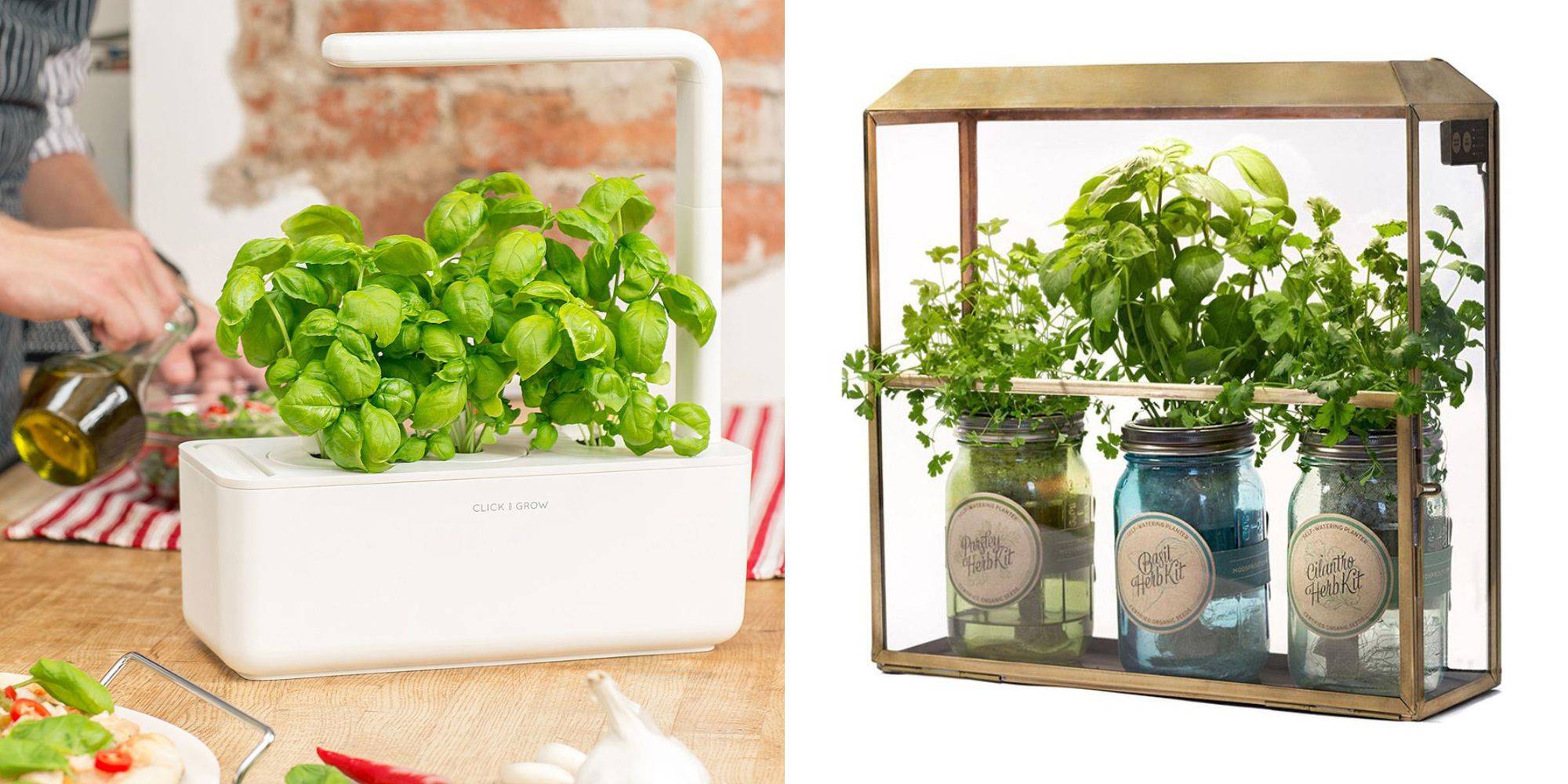 Indoor Culinary Herb Garden Kit Great Gift