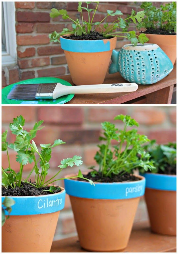 Nature Kitchen Herb Gardening Kit