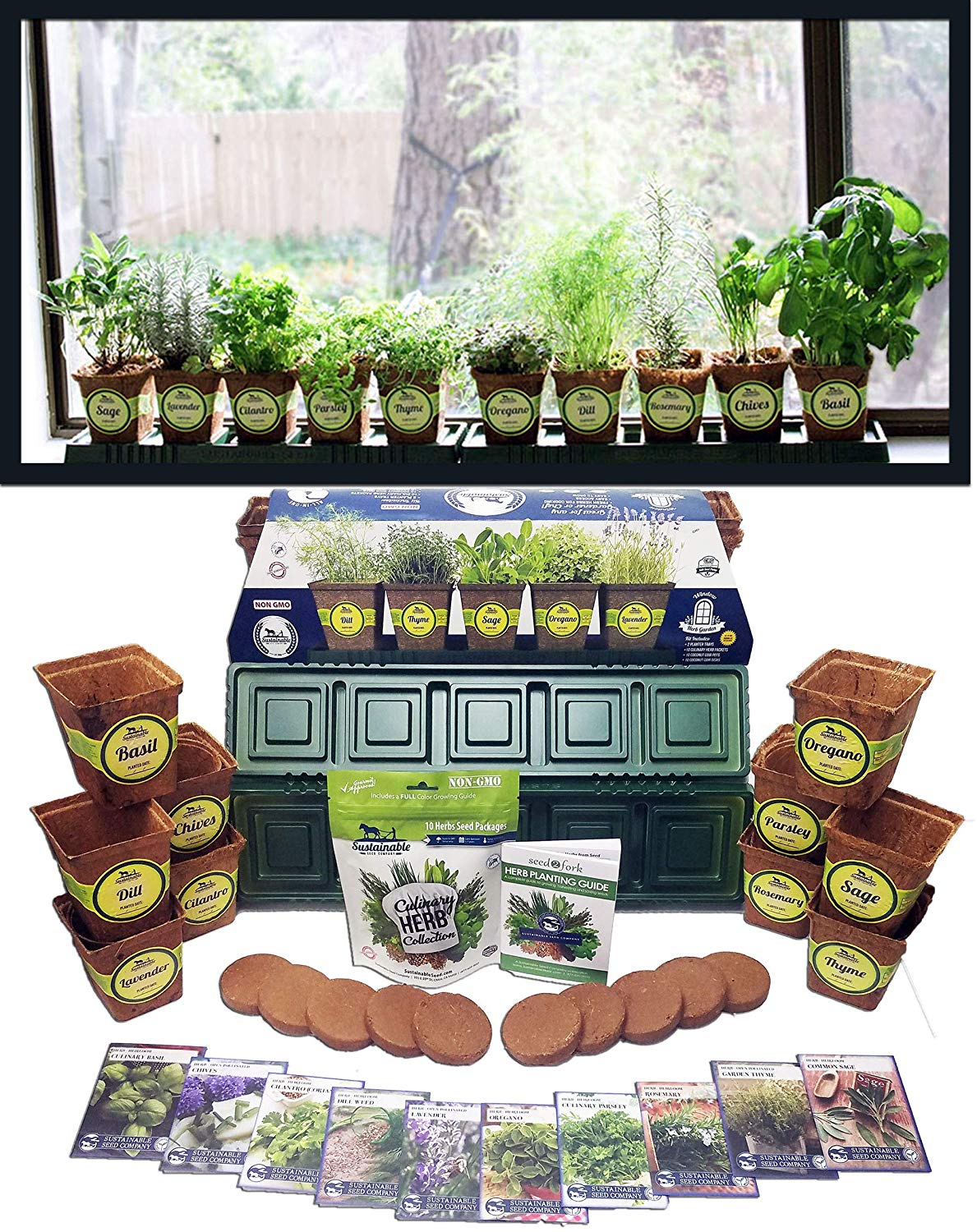 Viridescent Indoor Herb Garden Kit