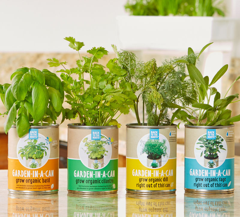 Viridescent Indoor Herb Garden Kit Kitchen Wooden Windowsill Planter