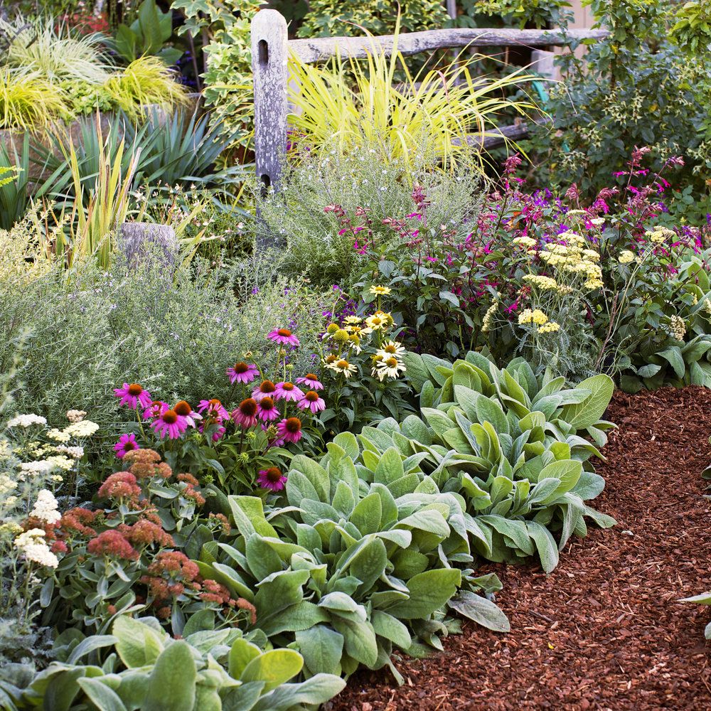 Beautiful Garden Flower Ideas