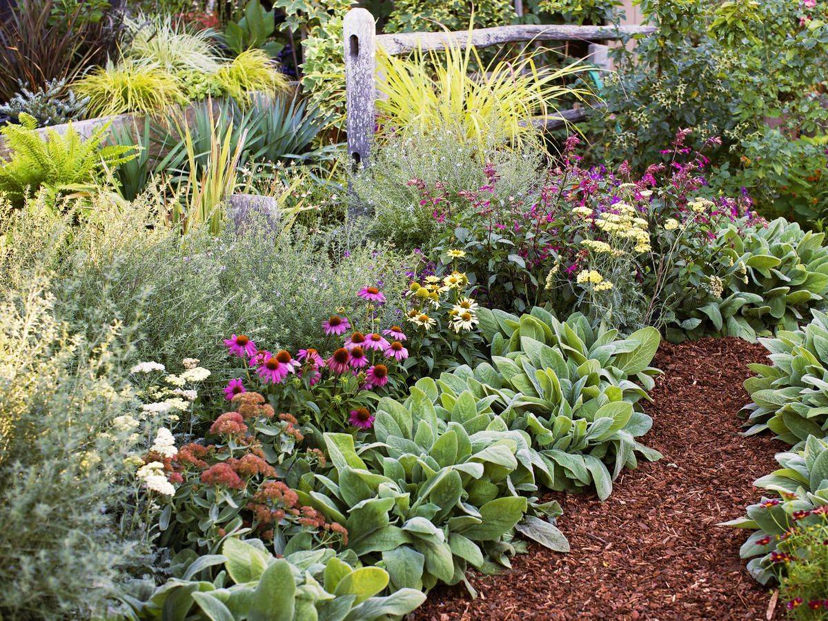 24 Fall Flower Perennial Garden Ideas To Try This Year SharonSable