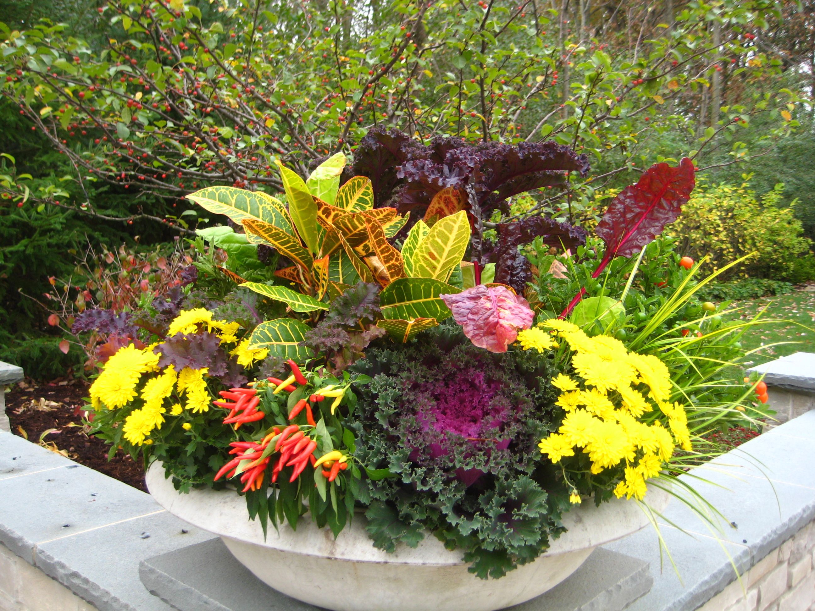 Fall Flower Garden Ideas
