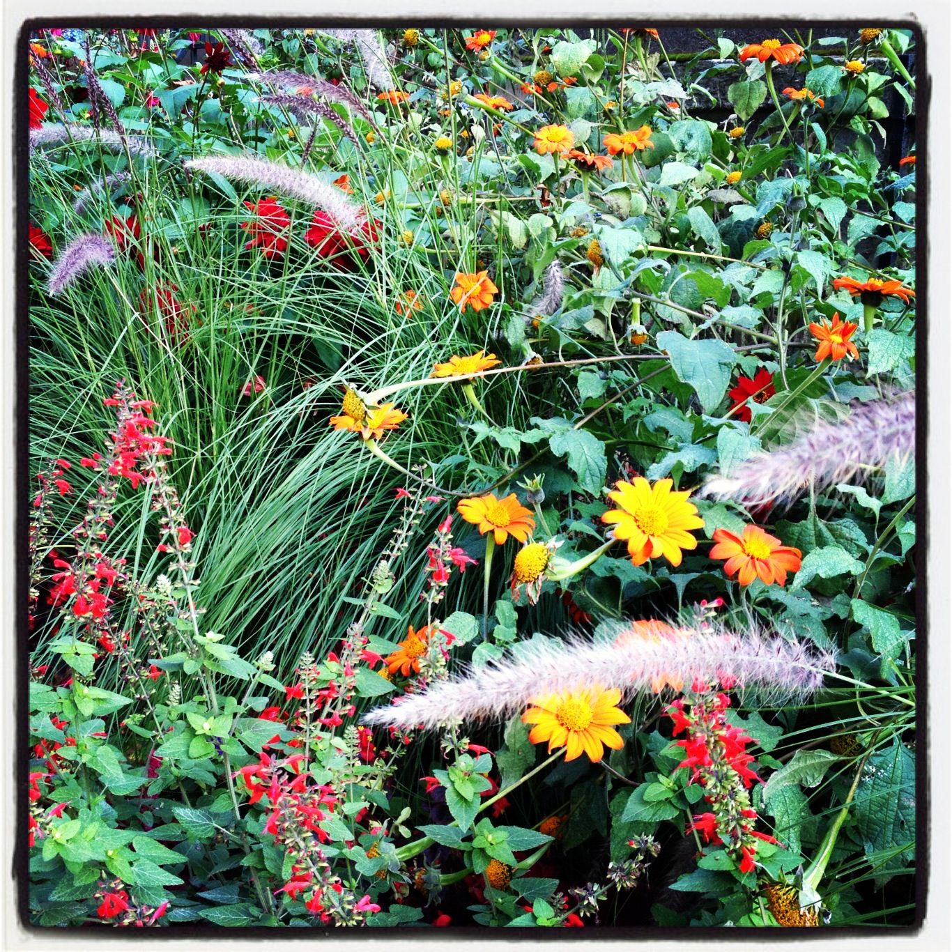 Outstanding Beautiful Fall Container Gardening Ideas