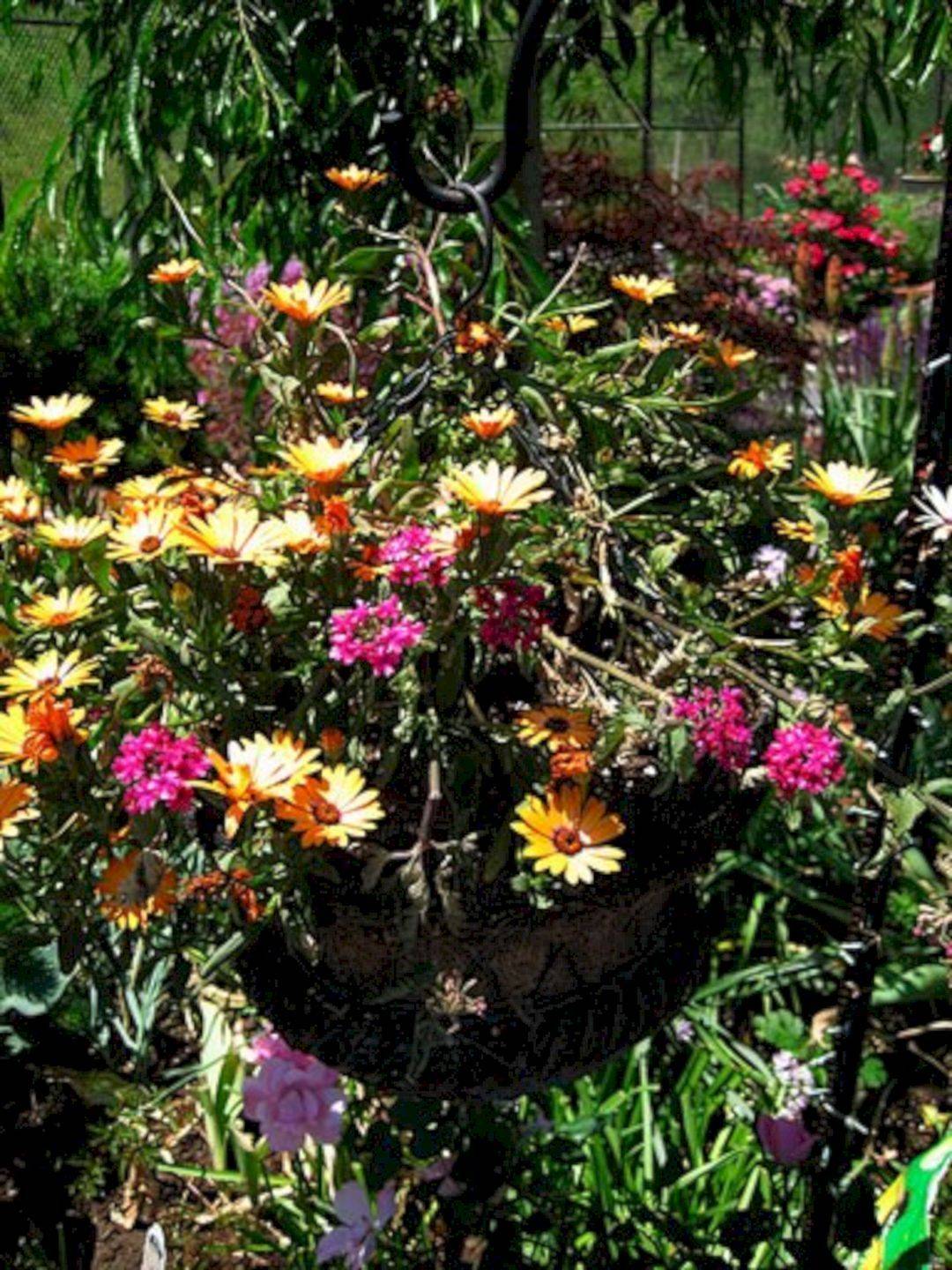 Small Perennial Garden Ideas
