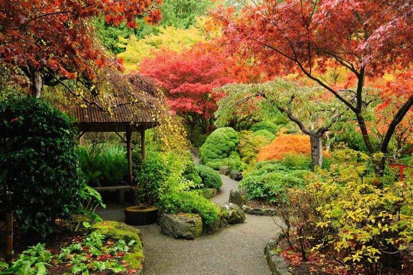 Fascinating Japanese Garden Design Ideas Page