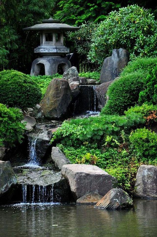 Japanese Garden Ideas Plants Home Garden