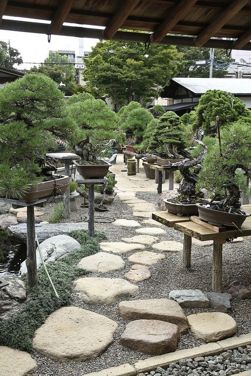 Stunning Japanese Garden Ideas