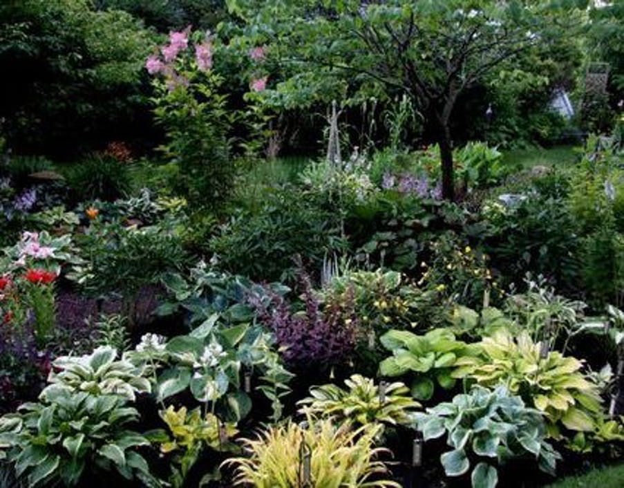 Minnesota Perennial Border Garden