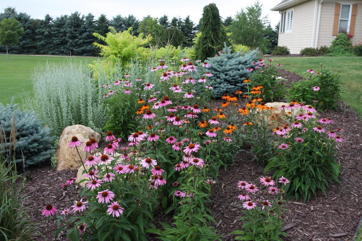 Backyard Landscape Design Southview Design