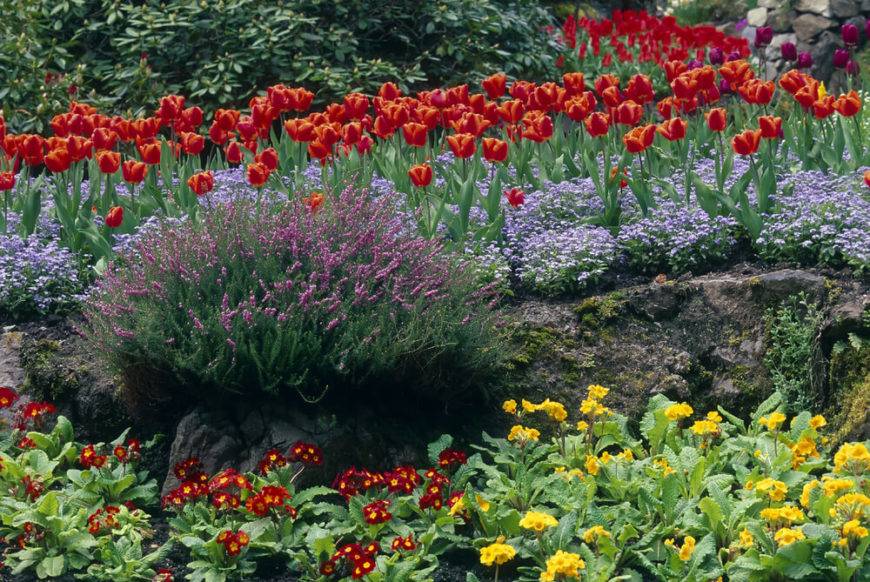 Perennial Garden Design Ideas