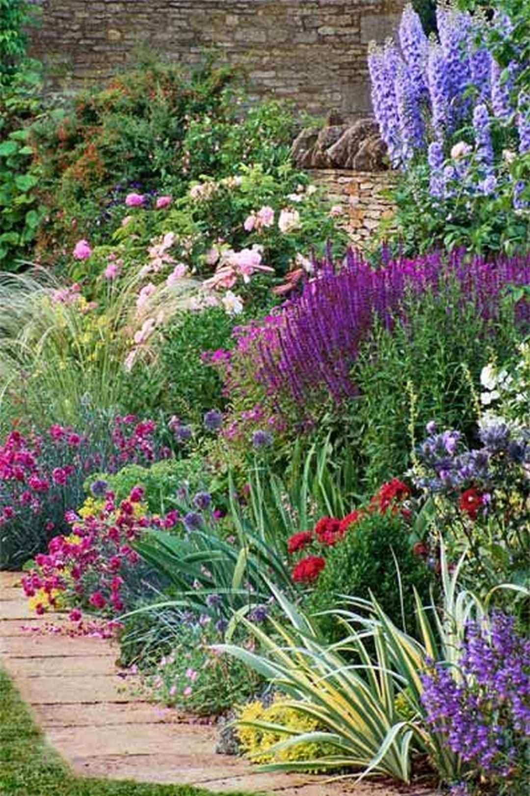 Border Flowers Geranium Rozanne