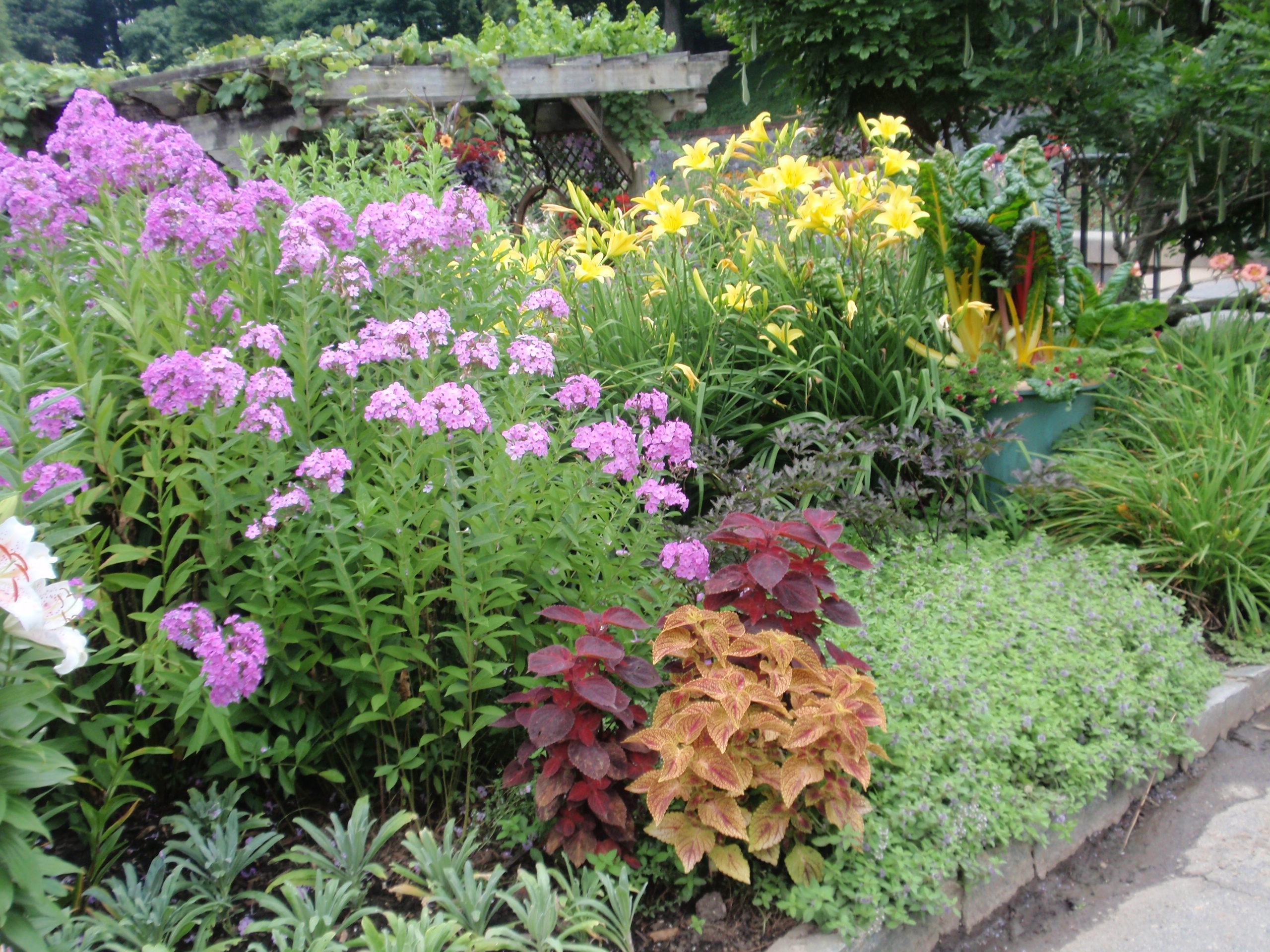 Colorful Perennial Garden Hgtv