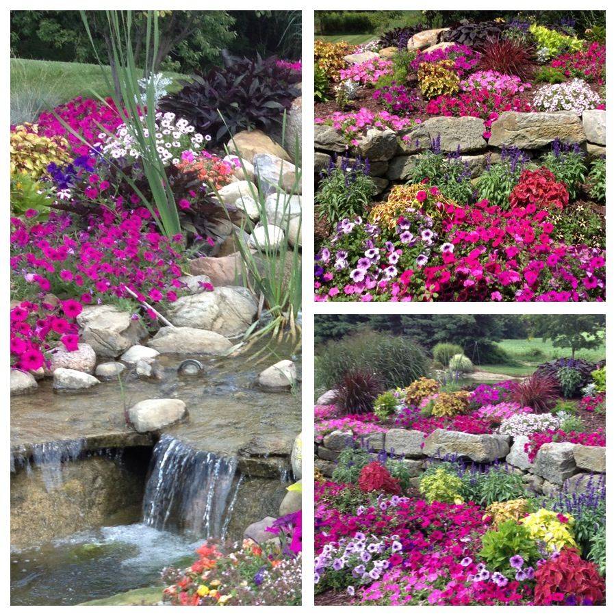 21 Garden Flowers Names Ideas You Must Look SharonSable