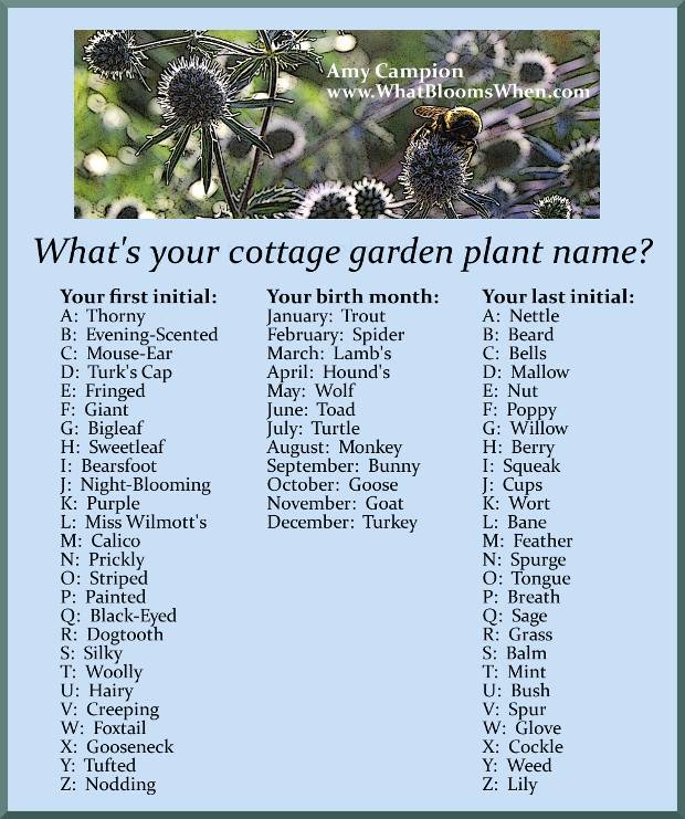 Name Recognition Flower Garden Totschooling Toddler