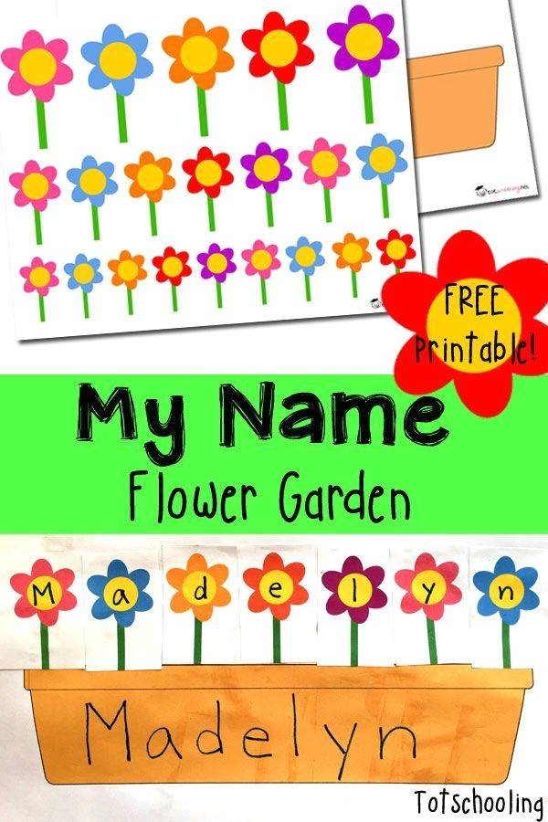 Succulents Types Names Best Succulent Ideas