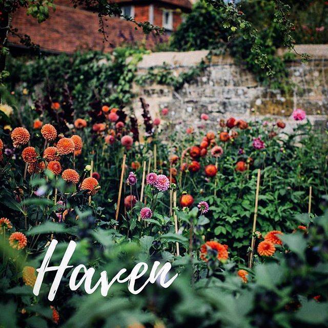 21 Garden Flowers Names Ideas You Must Look SharonSable