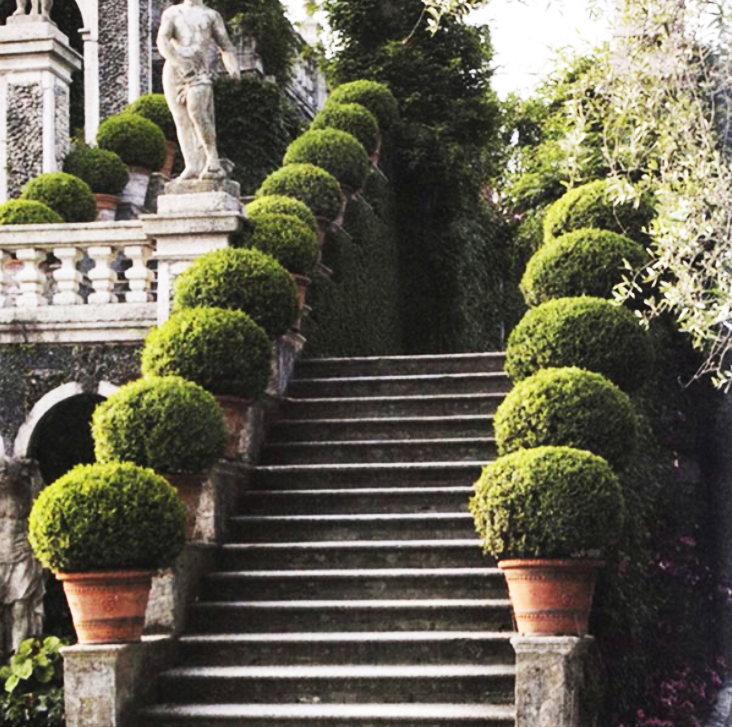 Italian Courtyard Garden