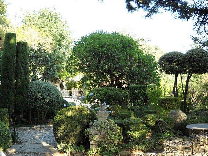 Nicoledevesian Topiary