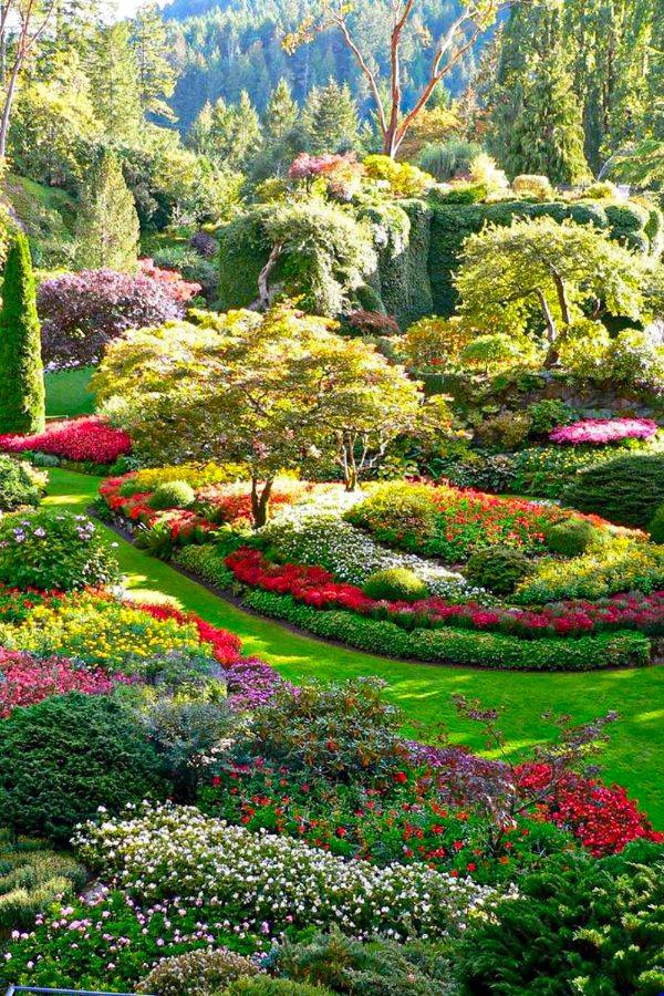Beautiful Home Gardens