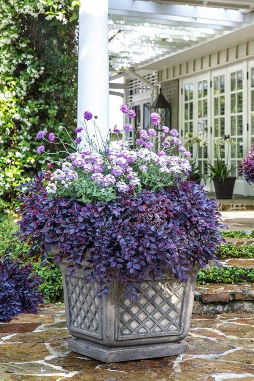 Modern French Country Garden Decor Ideas