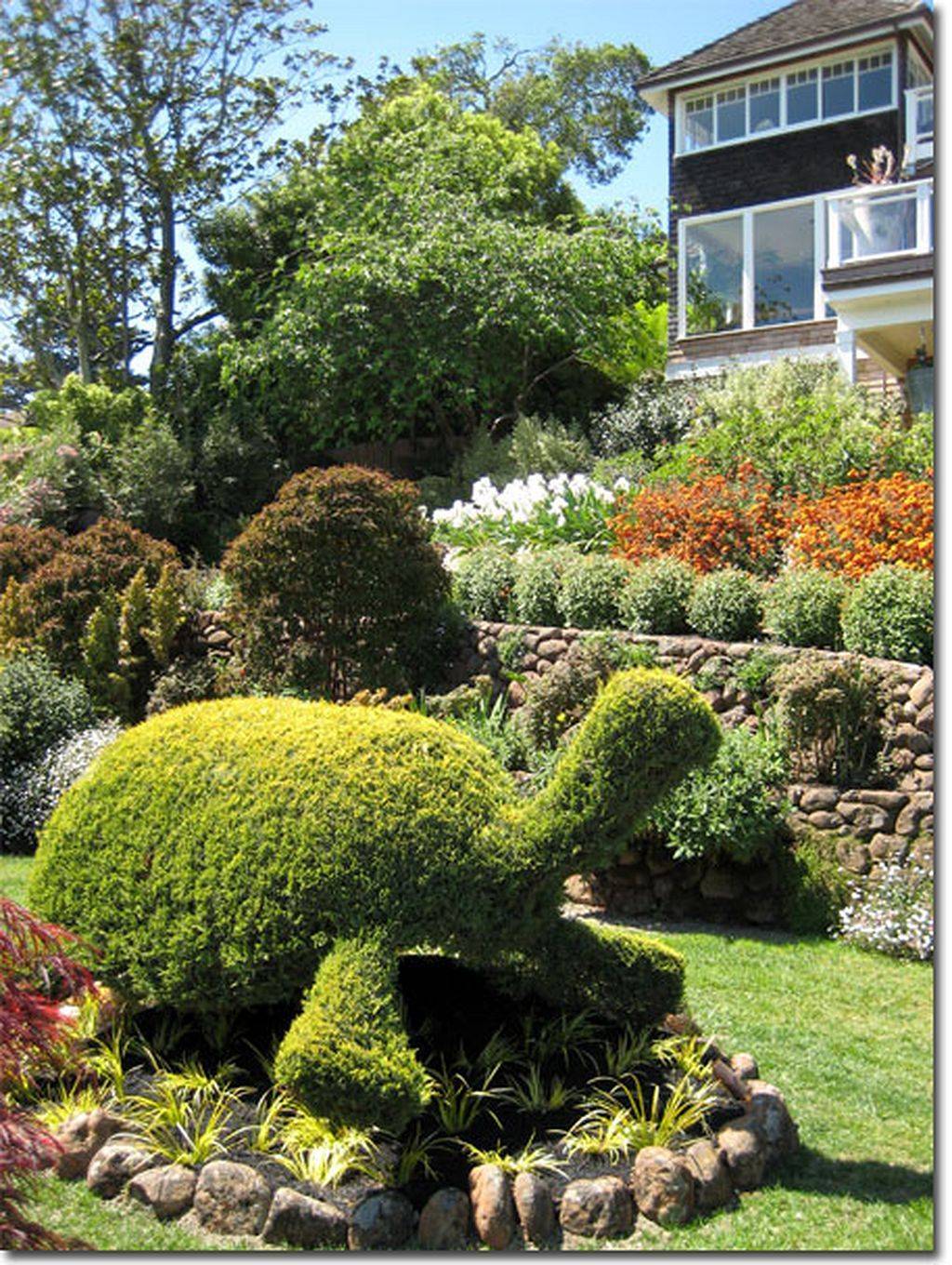 Gorgeous Tropiary Trees Ideas