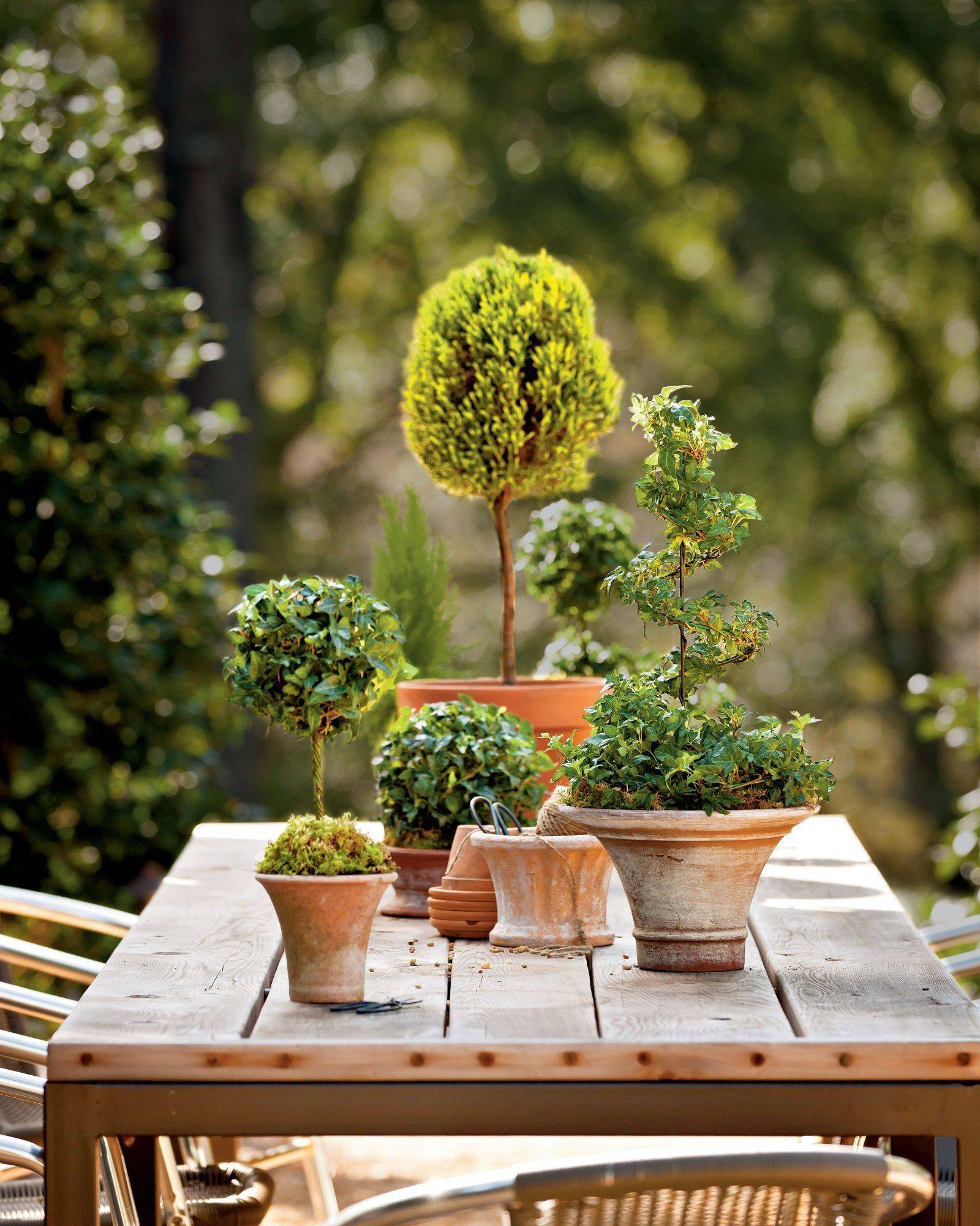 Relaxing Topiary Garden Ideas