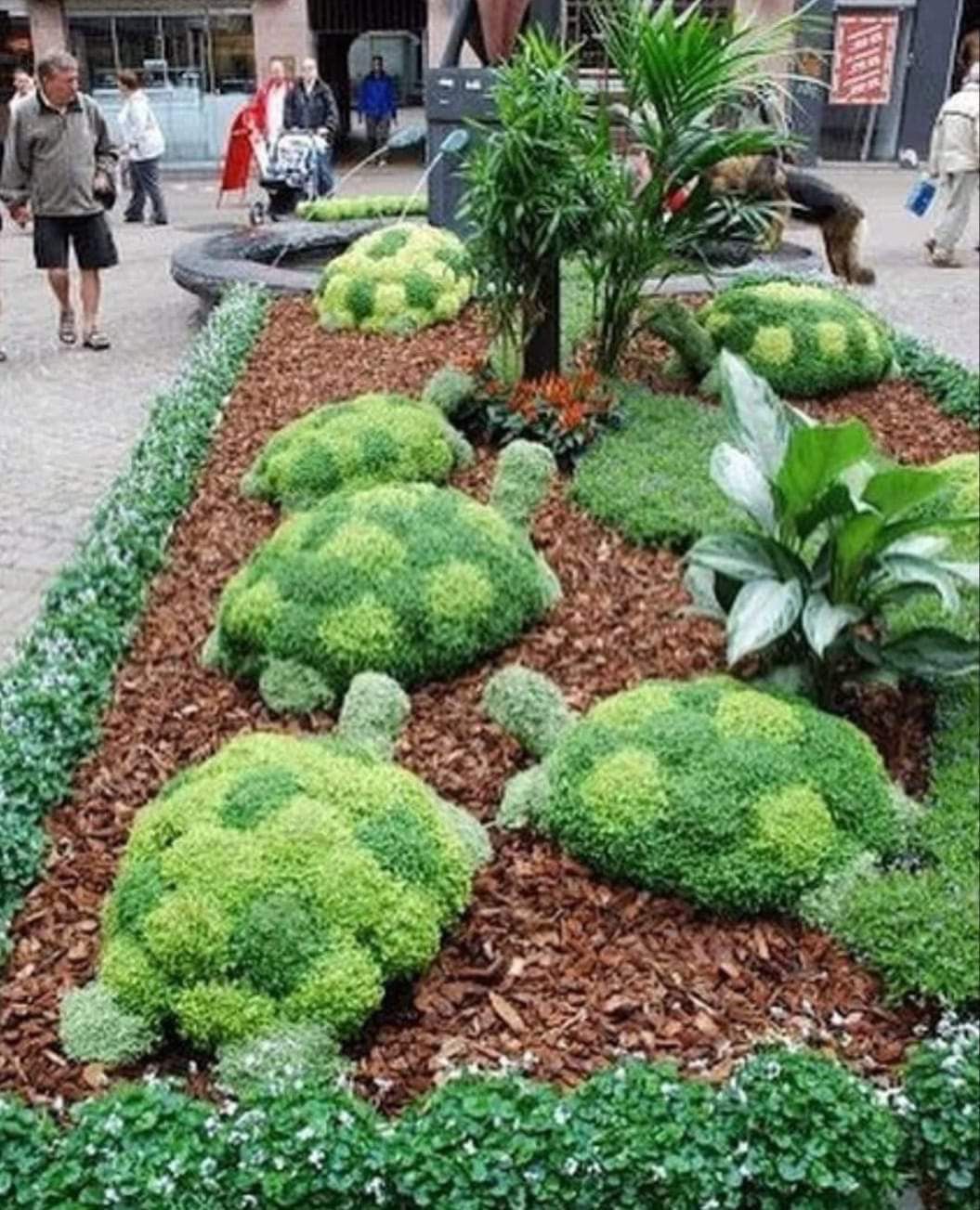 Amazing Topiary Garden Ideas Diy Garden