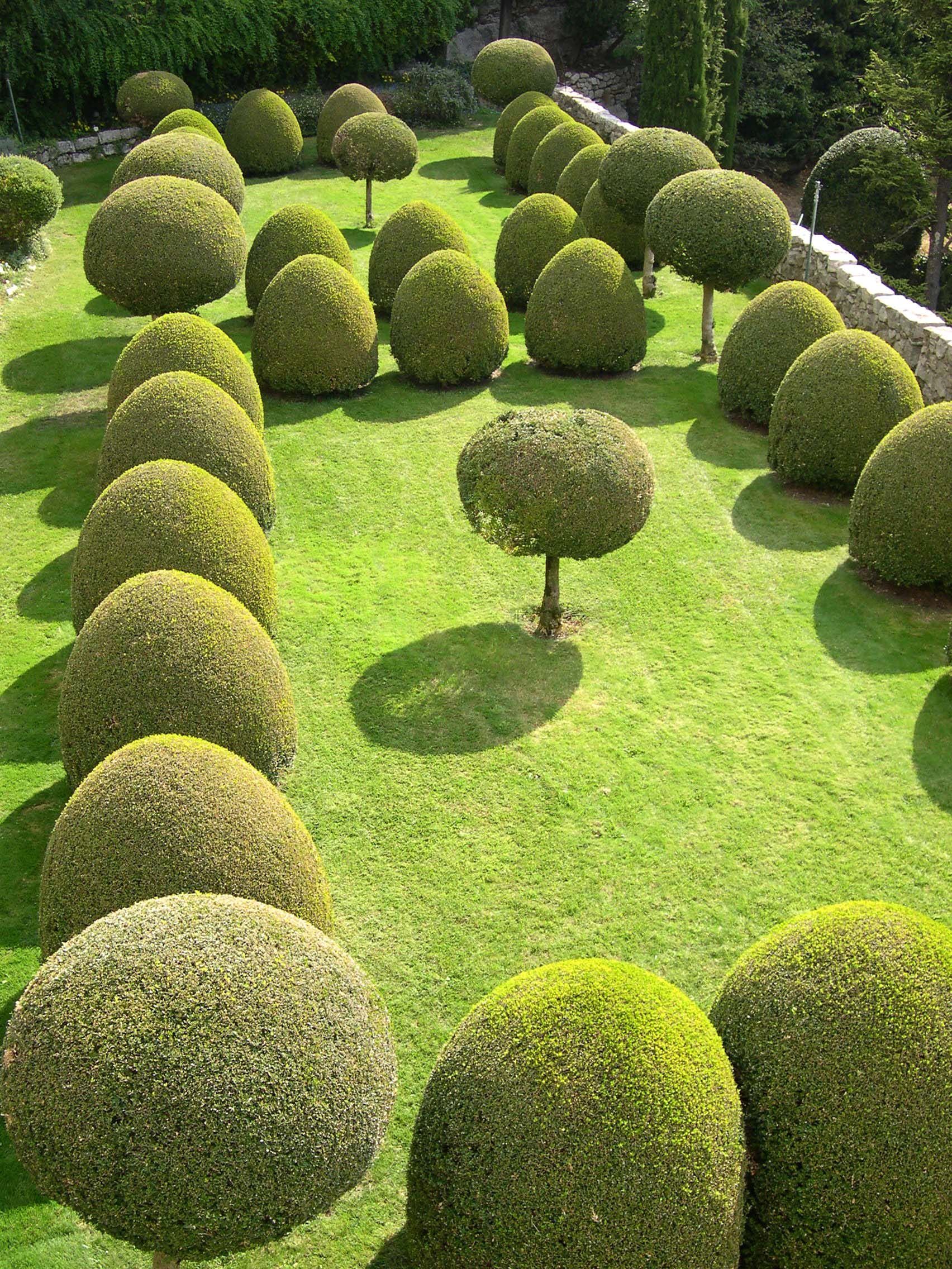 The Most Elaborate Hedges